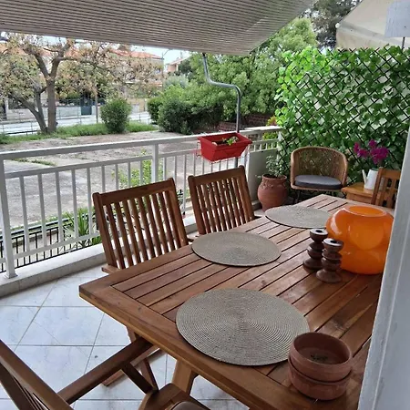 Aelia PalaiónTsiflíkion