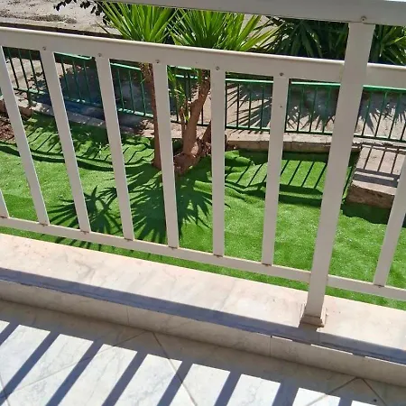 Aelia PalaiónTsiflíkion