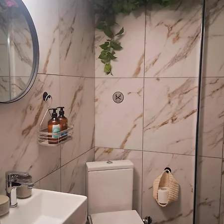 Aelia Apartman PalaiónTsiflíkion