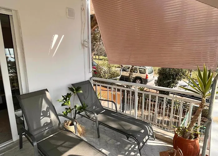 Aelia PalaiónTsiflíkion