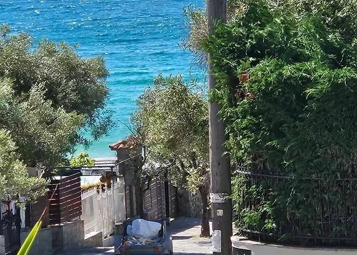 Aelia * PalaiónTsiflíkion